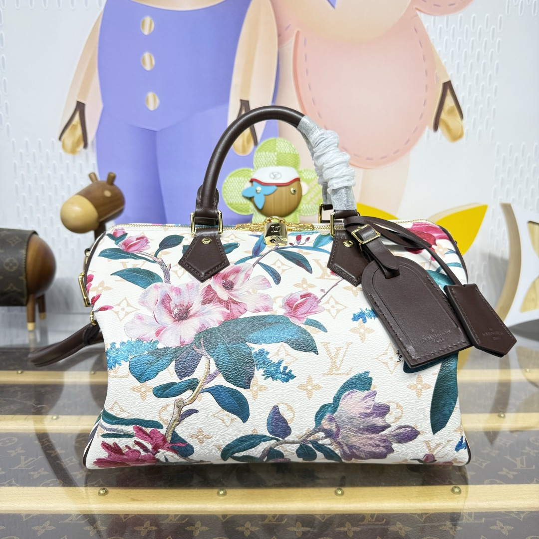 루이비통(버드케이지) M29066 가방 Louis Vuitton Bag