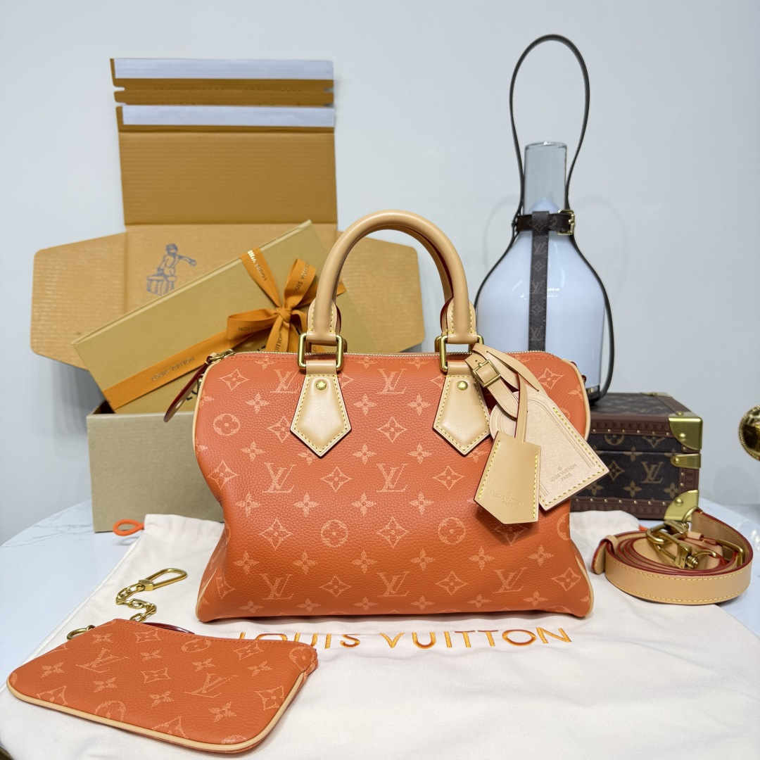 루이비통(버드케이지) M13914 가방 Louis Vuitton Bag