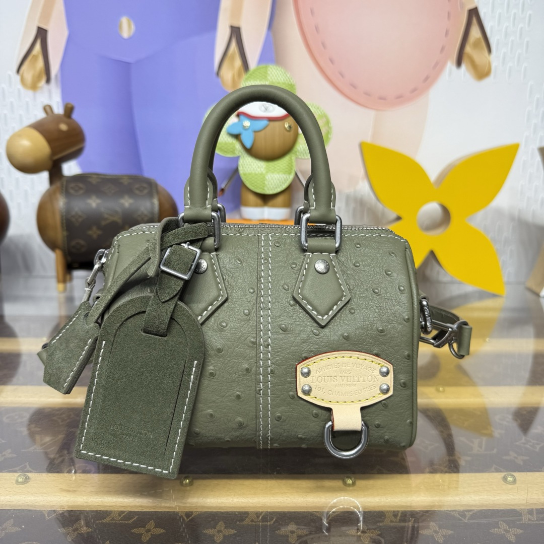 루이비통(버드케이지) N89151 가방 Louis Vuitton Bag