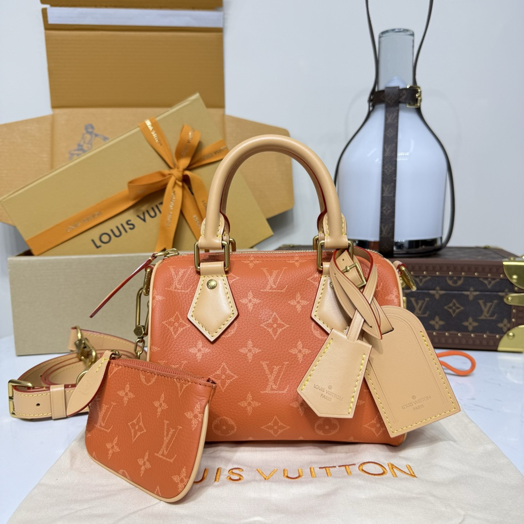 루이비통(버드케이지) M28307 가방 Louis Vuitton Bag