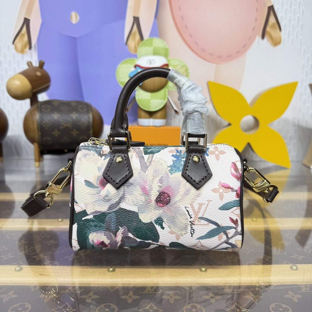 루이비통(버드케이지) M29149 가방 Louis Vuitton Bag
