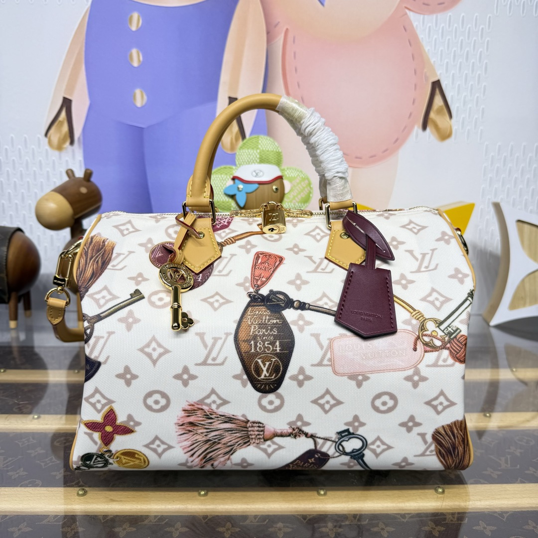 루이비통(버드케이지) M29377 가방 Louis Vuitton Bag