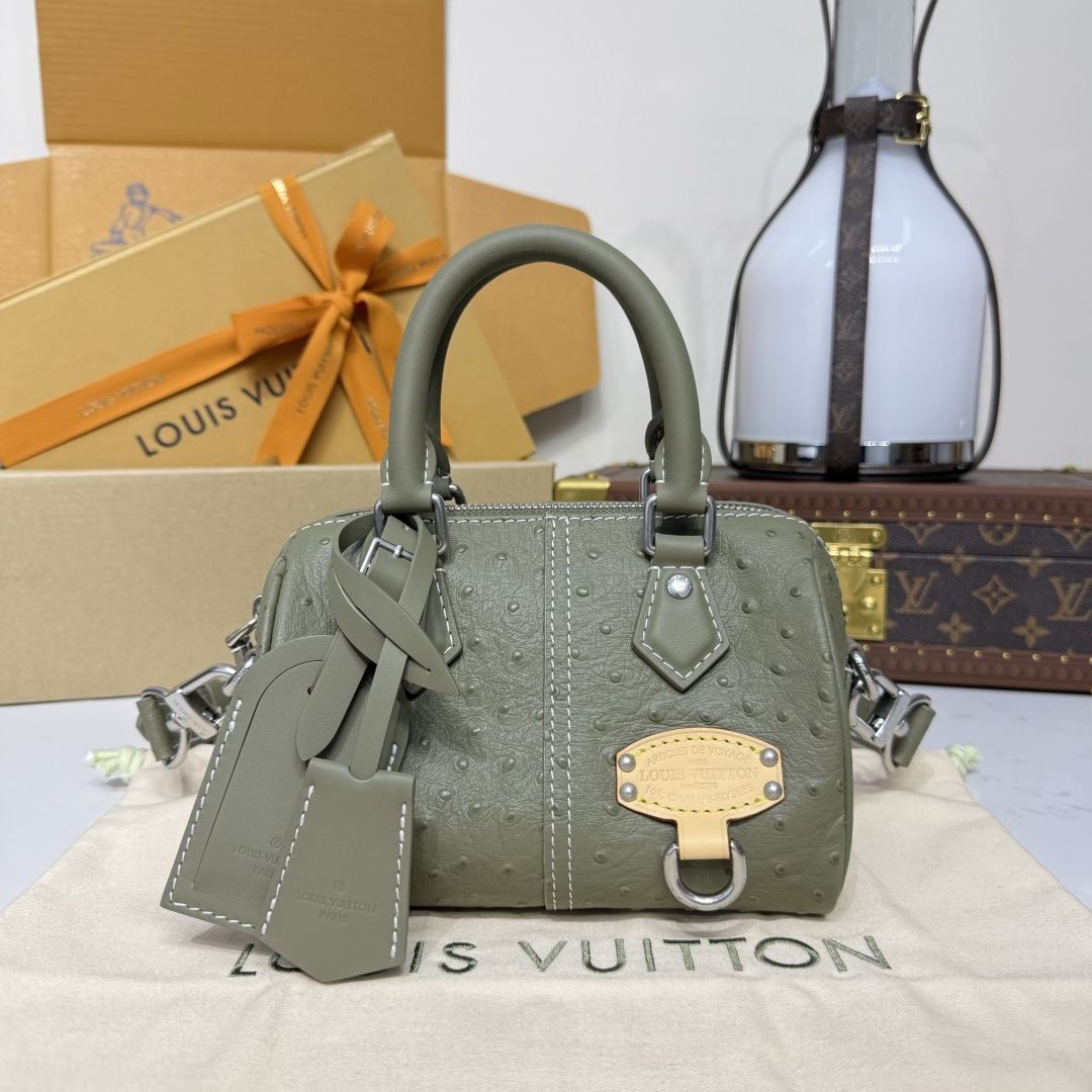 루이비통(버드케이지) N89151 가방 Louis Vuitton Bag