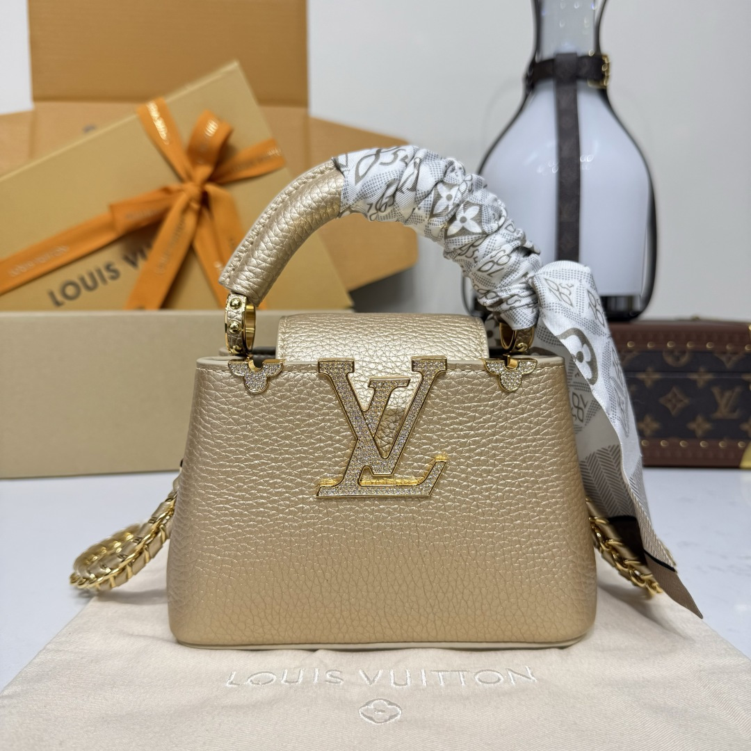루이비통(버드케이지) M24583 가방 Louis Vuitton Bag