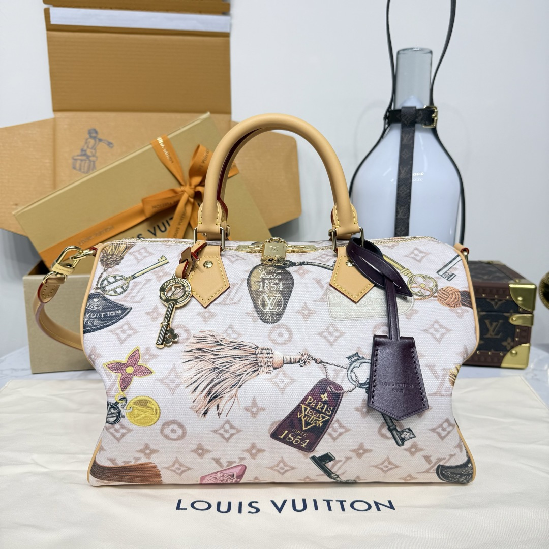 루이비통(버드케이지) M29377 가방 Louis Vuitton Bag