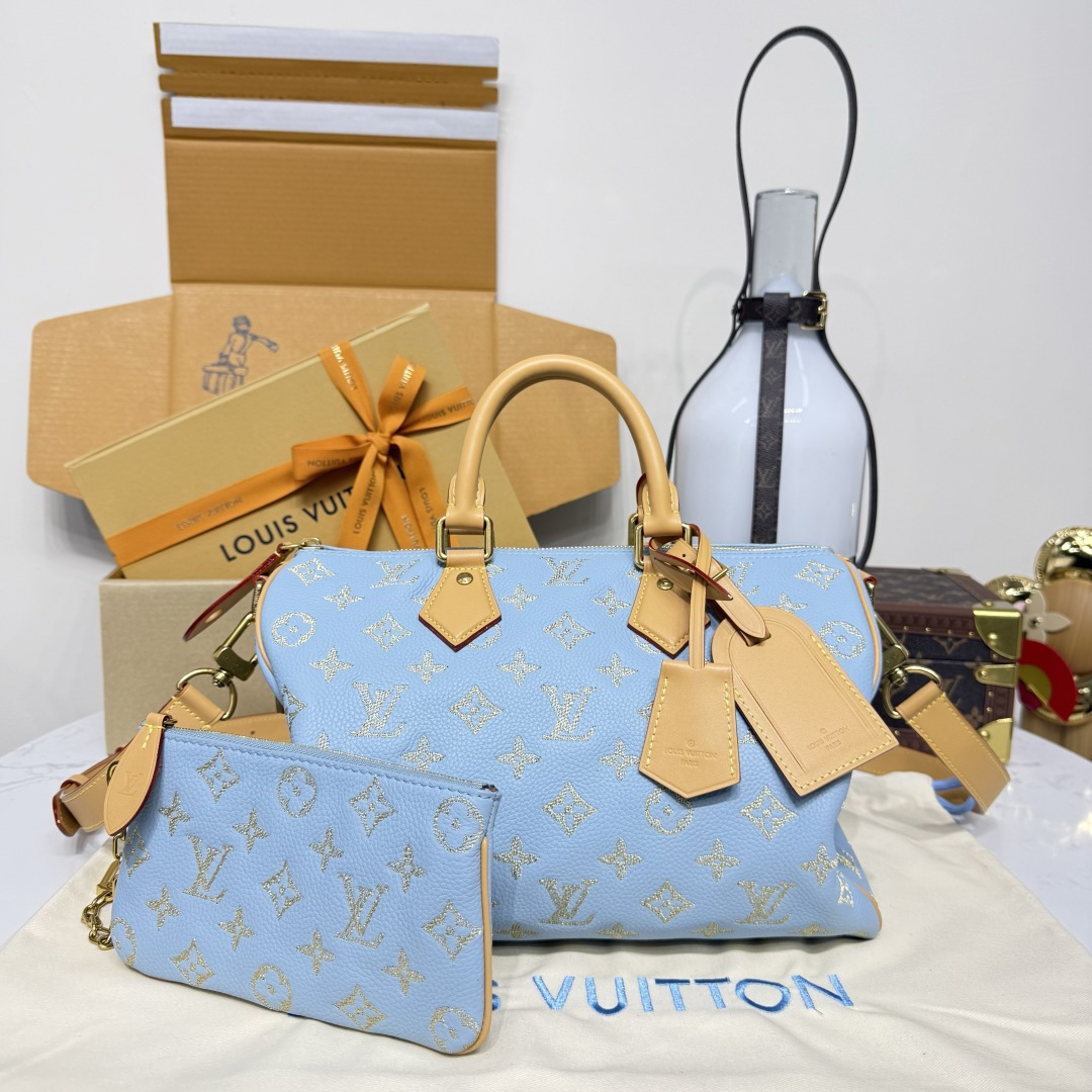 루이비통(버드케이지) M13914 가방 Louis Vuitton Bag