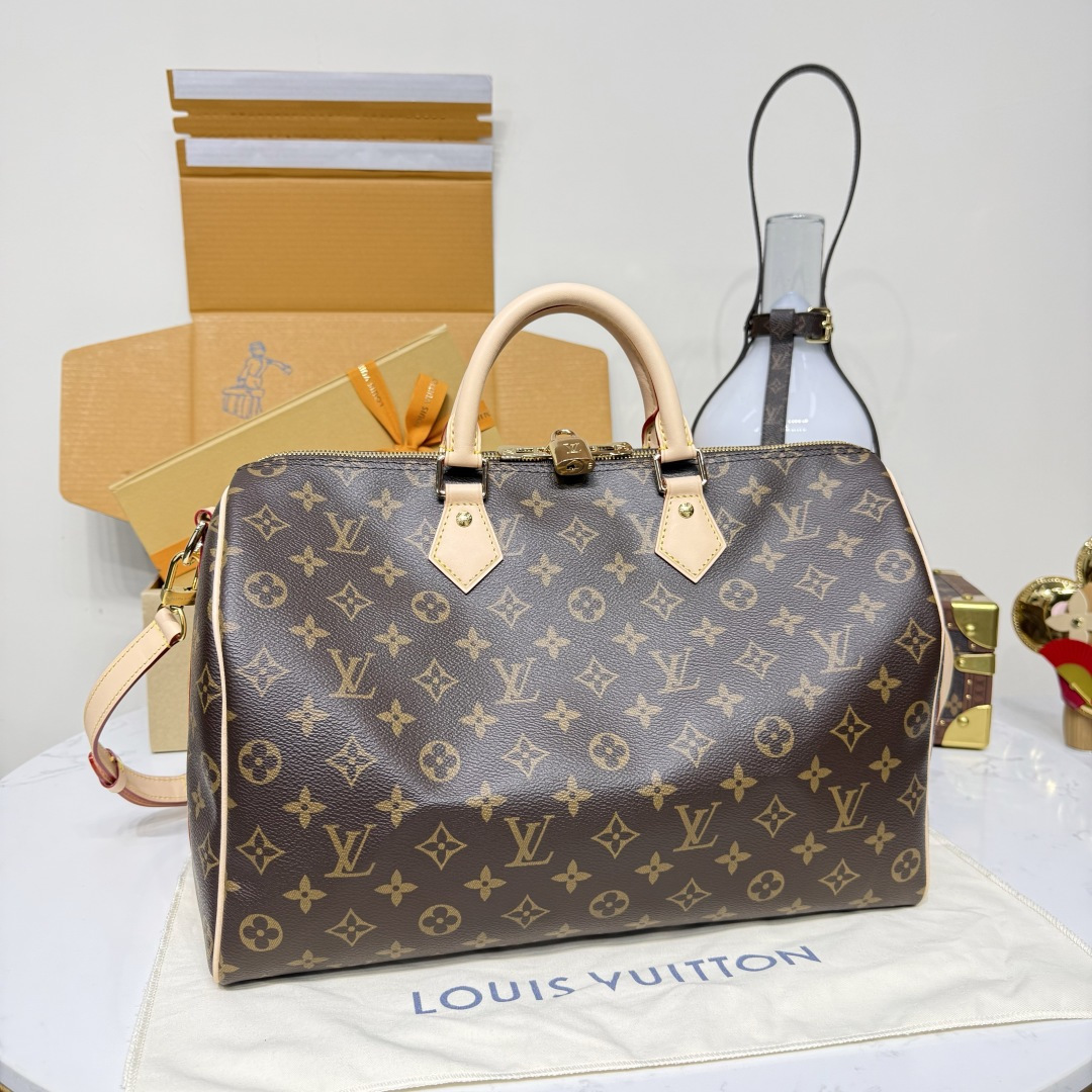 루이비통(버드케이지) 모노그램 M46981 가방 Louis Vuitton Bag