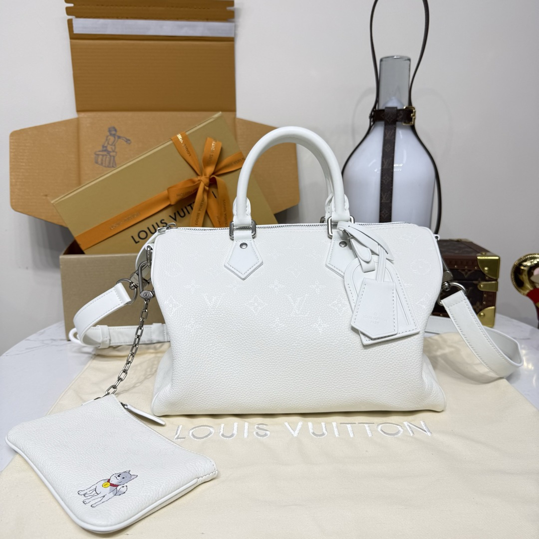 루이비통(버드케이지) M13914 가방 Louis Vuitton Bag
