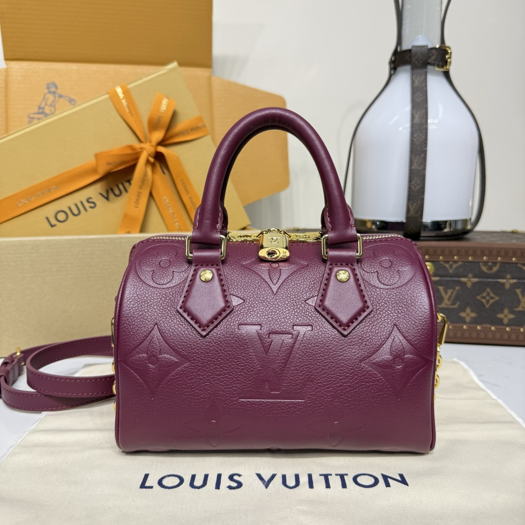 루이비통(버드케이지) M58953 가방 Louis Vuitton Bag