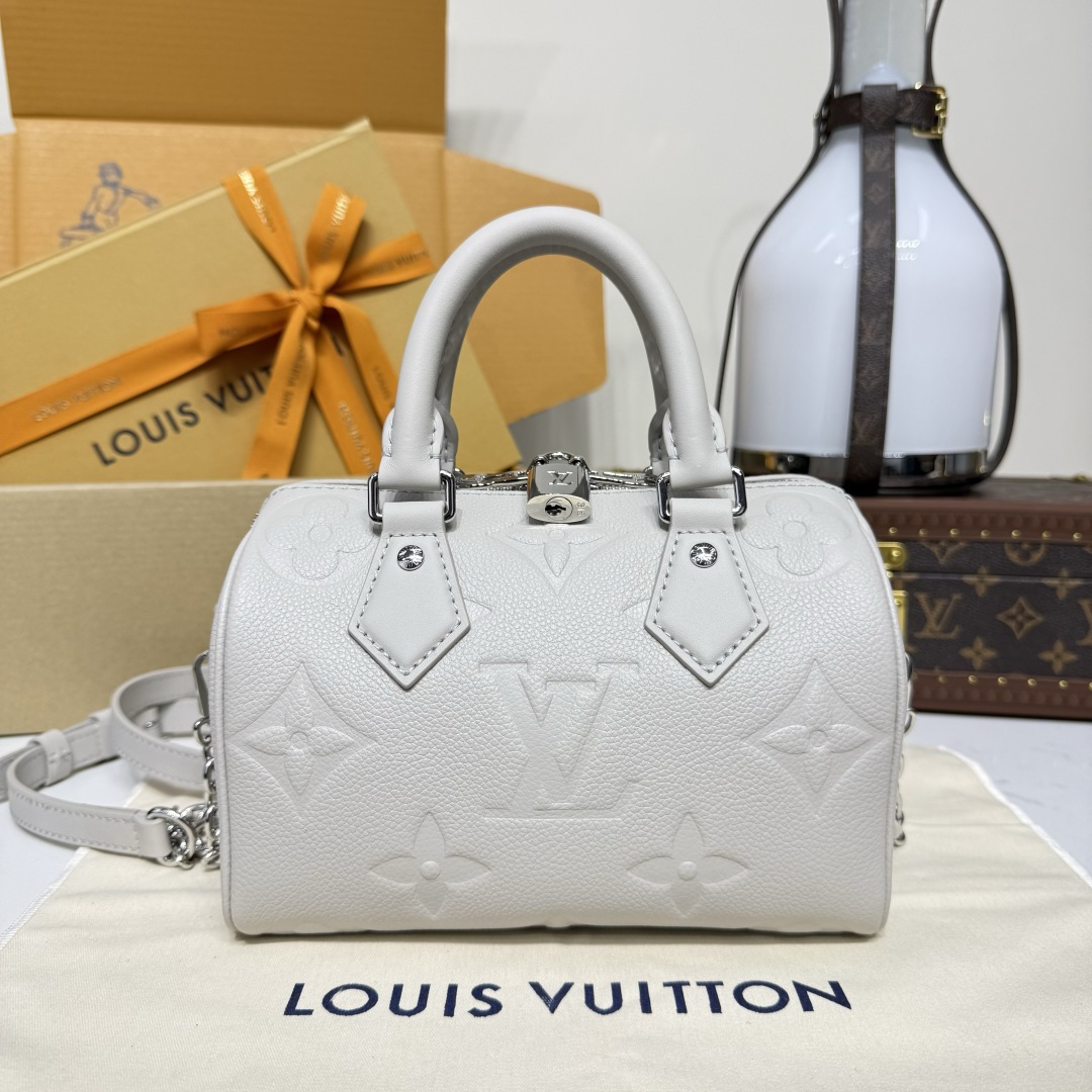 루이비통(버드케이지) M58953 가방 Louis Vuitton Bag