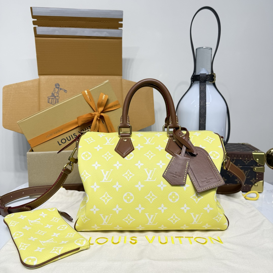 루이비통(버드케이지) M13914 가방 Louis Vuitton Bag
