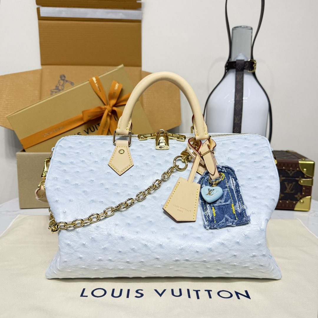루이비통(버드케이지) M11945 가방 Louis Vuitton Bag