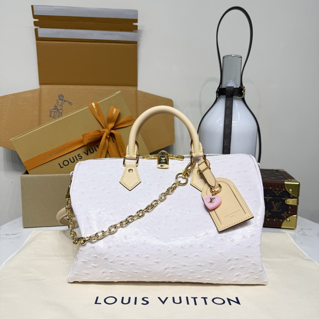 루이비통(버드케이지) 모노그램 M11945 가방 Louis Vuitton Bag