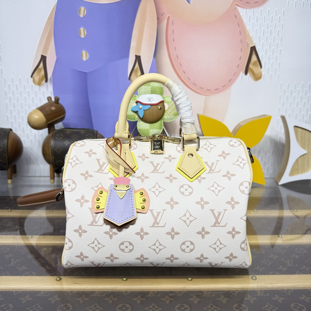 루이비통(버드케이지) 148196 가방 Louis Vuitton Bag