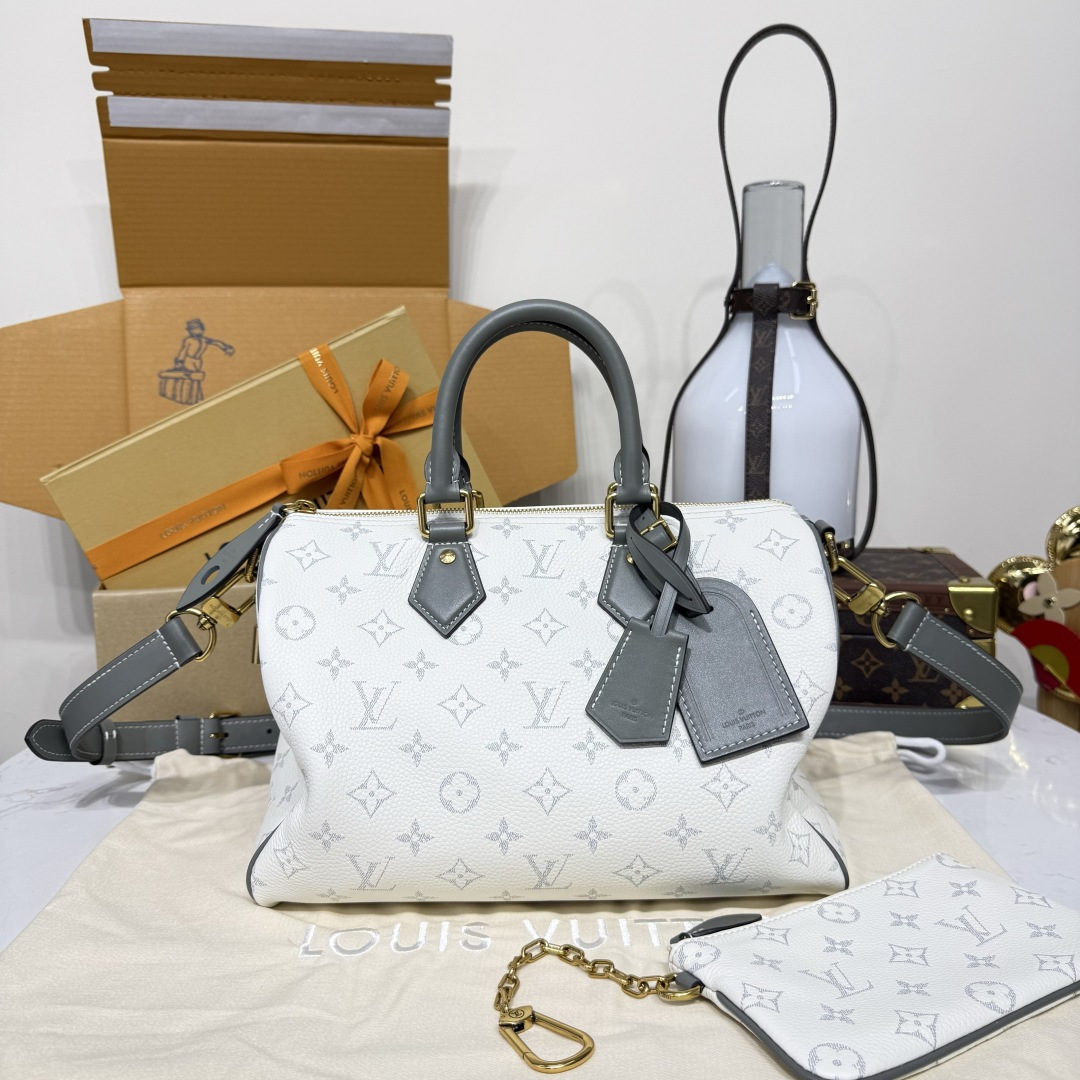 루이비통(버드케이지) M13914 가방 Louis Vuitton Bag
