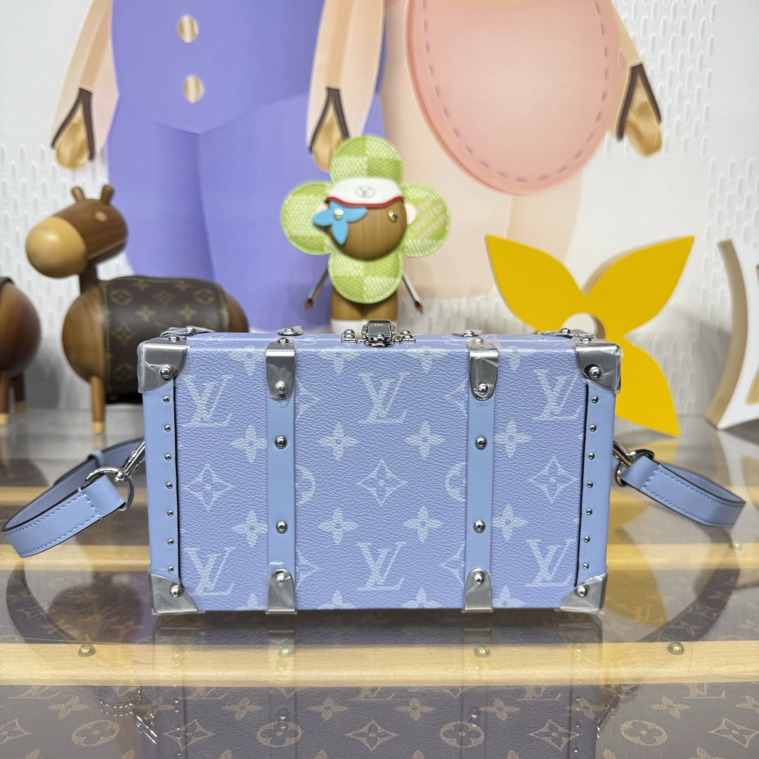 루이비통(버드케이지) M13562 가방 Louis Vuitton Bag