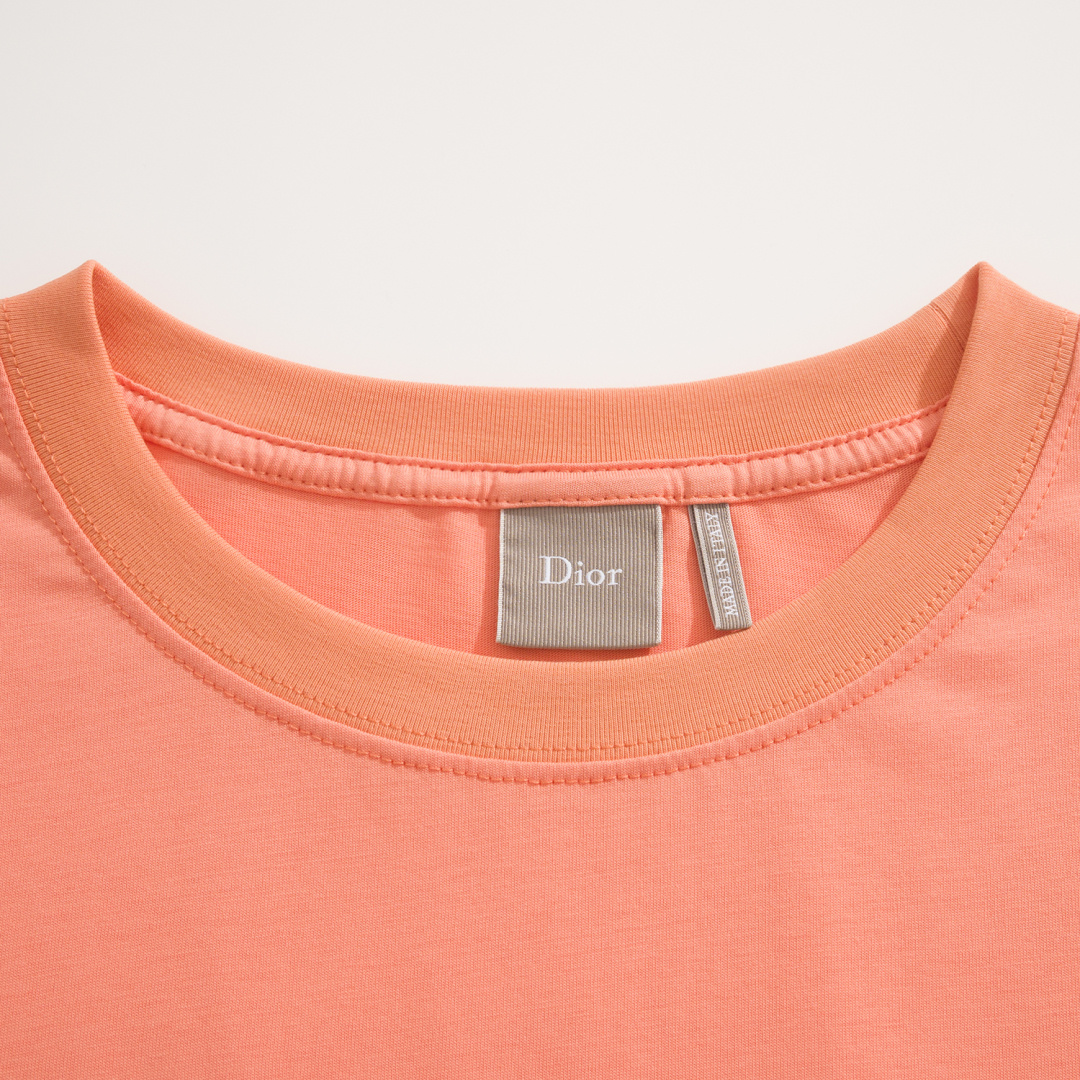 Мужская футболка с вышивкой Dior