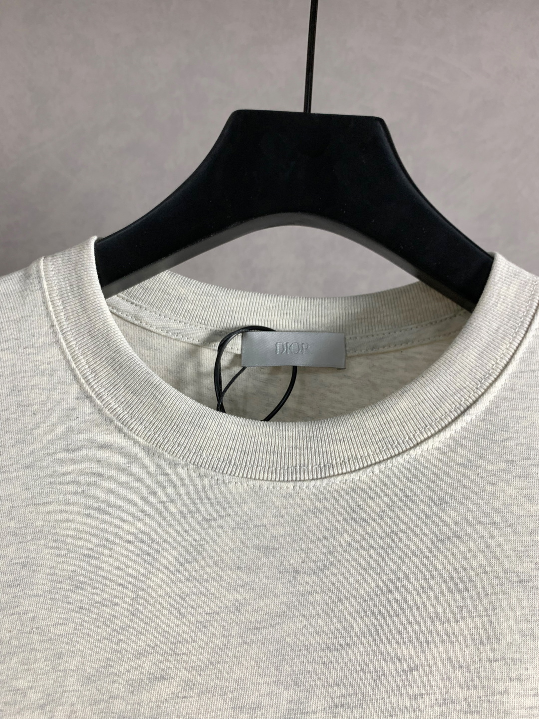 DIOR/迪奥 新款系列 小蓝猫刺绣短袖T恤
