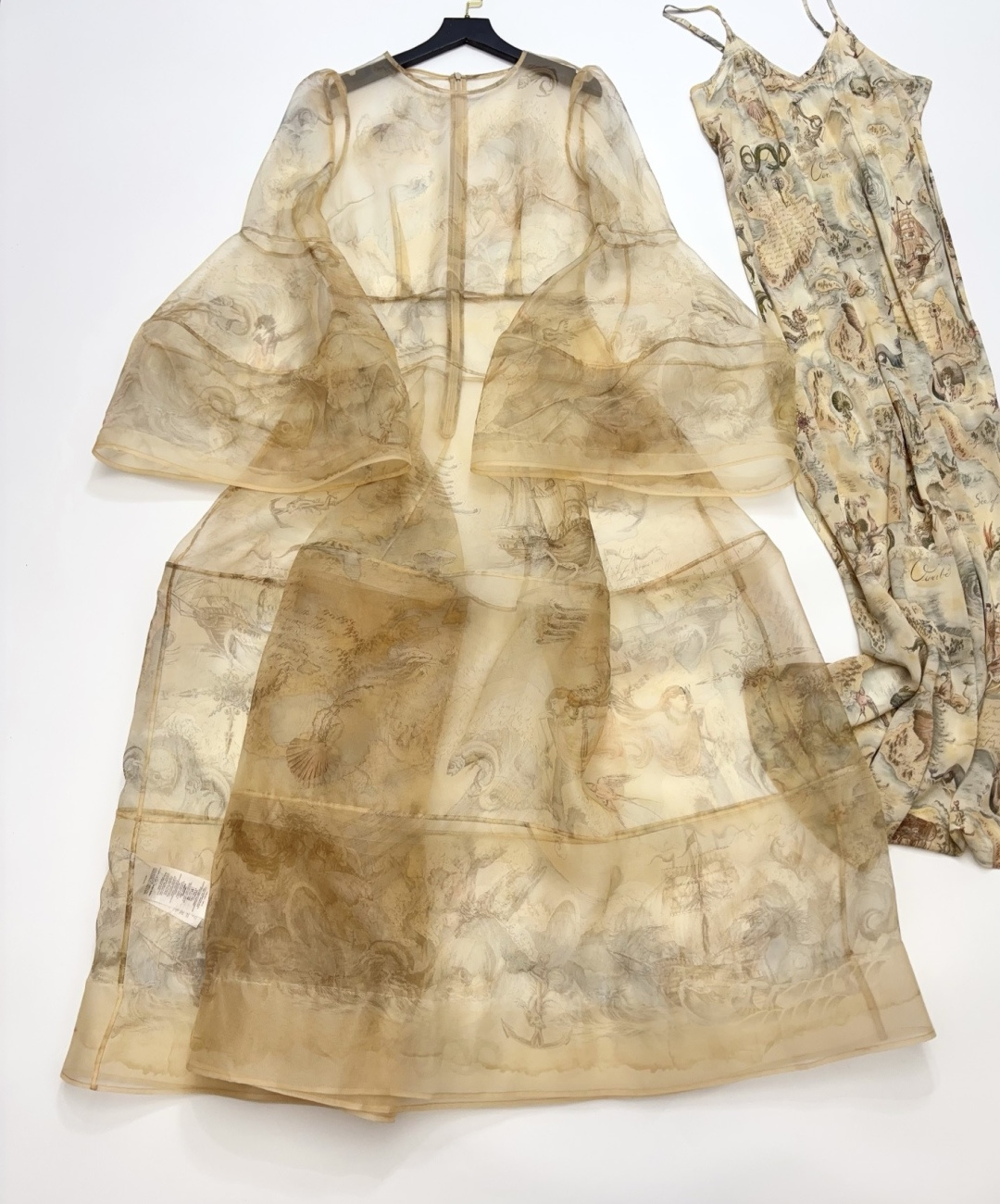 Zimmermann 2026 Ready-to-Wear Rebellion Flared Sleeve Gauze Print Long Dress