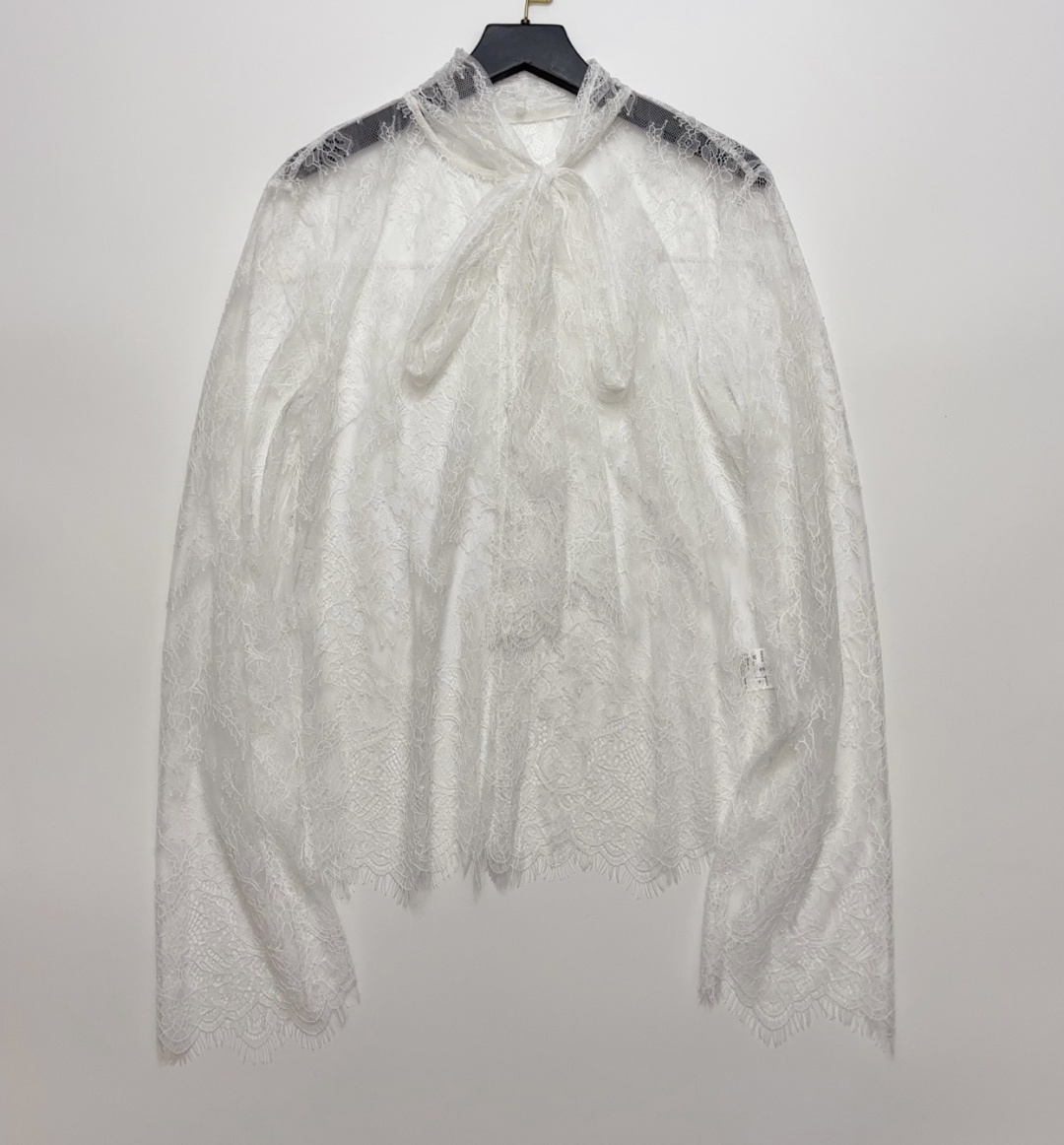 TIME Eyelash Lace Embroidered Floral Sheer Tie-Neck Blouse