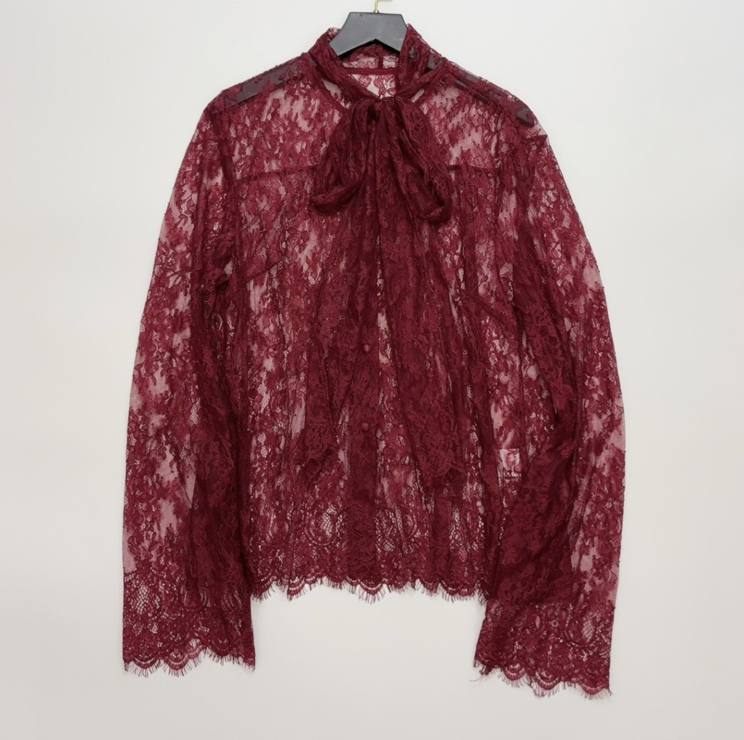 TIME Eyelash Lace Embroidered Floral Sheer Tie-Neck Blouse
