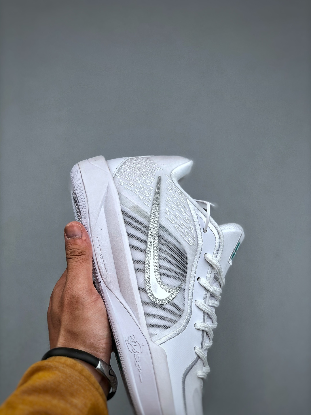 cmp i1745785019121 9172 0 5