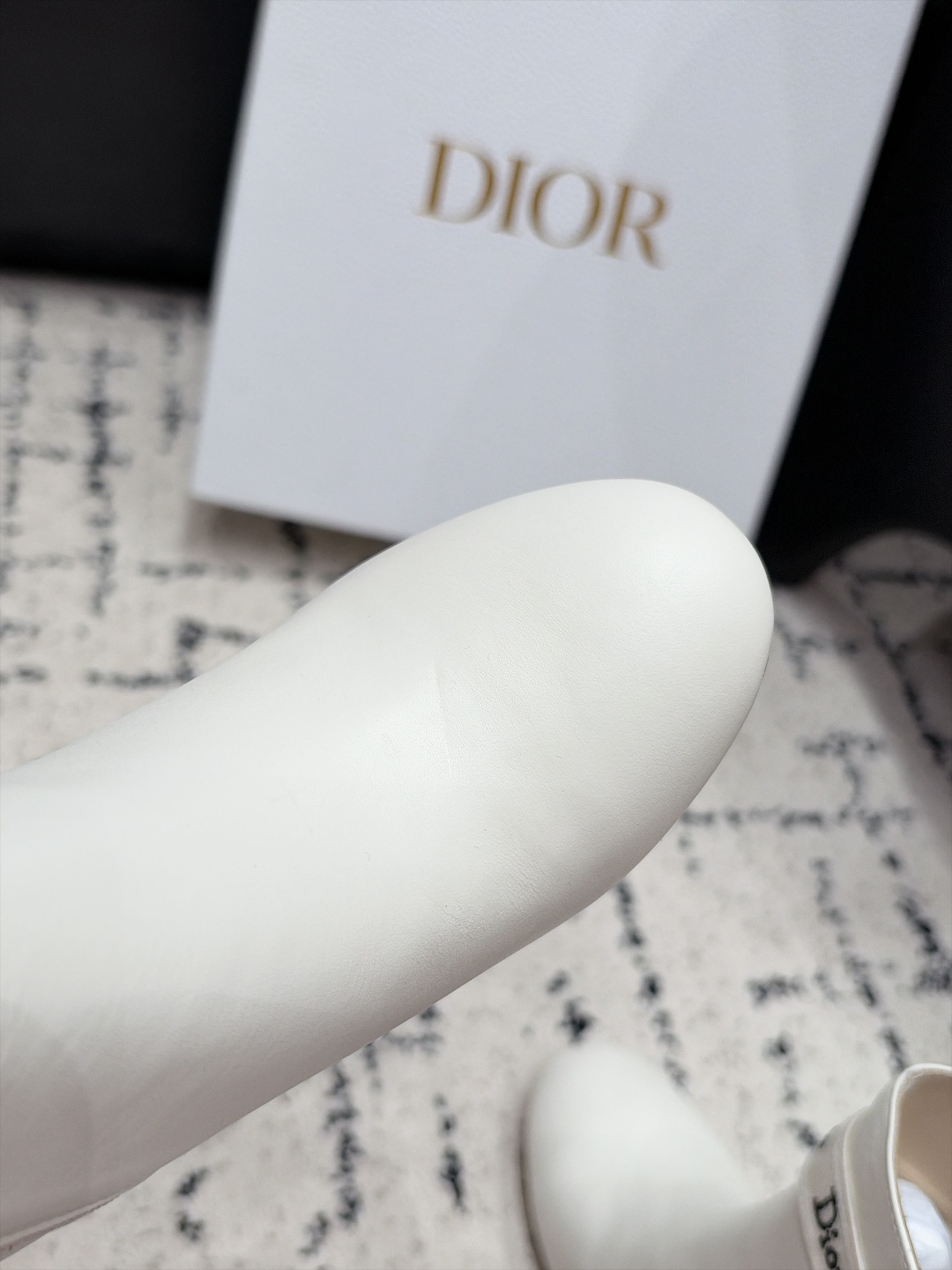 Dior Boots