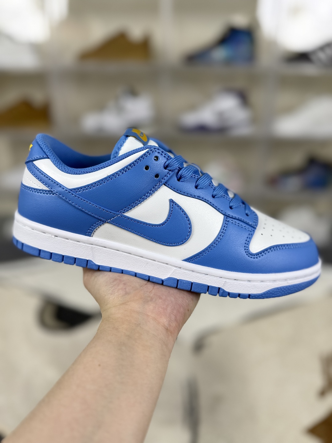 Nike Dunk Low "Coast" Basketball Shoes, Unisex Sneakers, Light Blue 2 cmp i1750704205736 5214 0 0