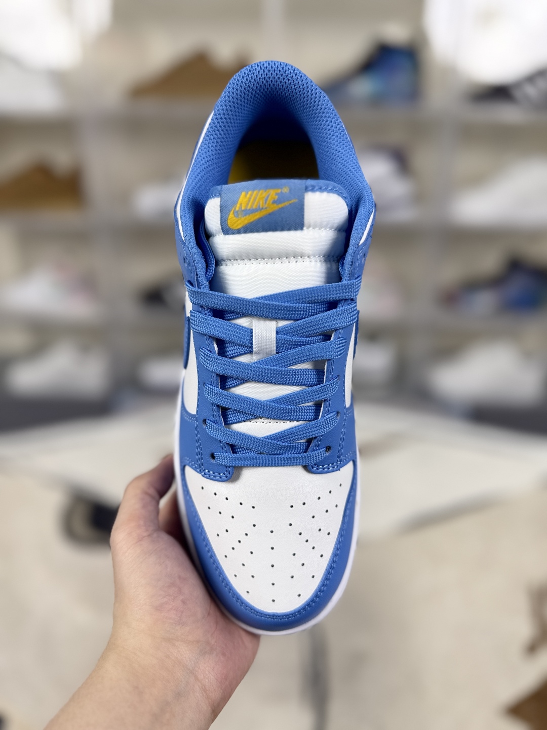 Nike Dunk Low "Coast" Basketball Shoes, Unisex Sneakers, Light Blue 5 cmp i1750704210398 4987 0 3