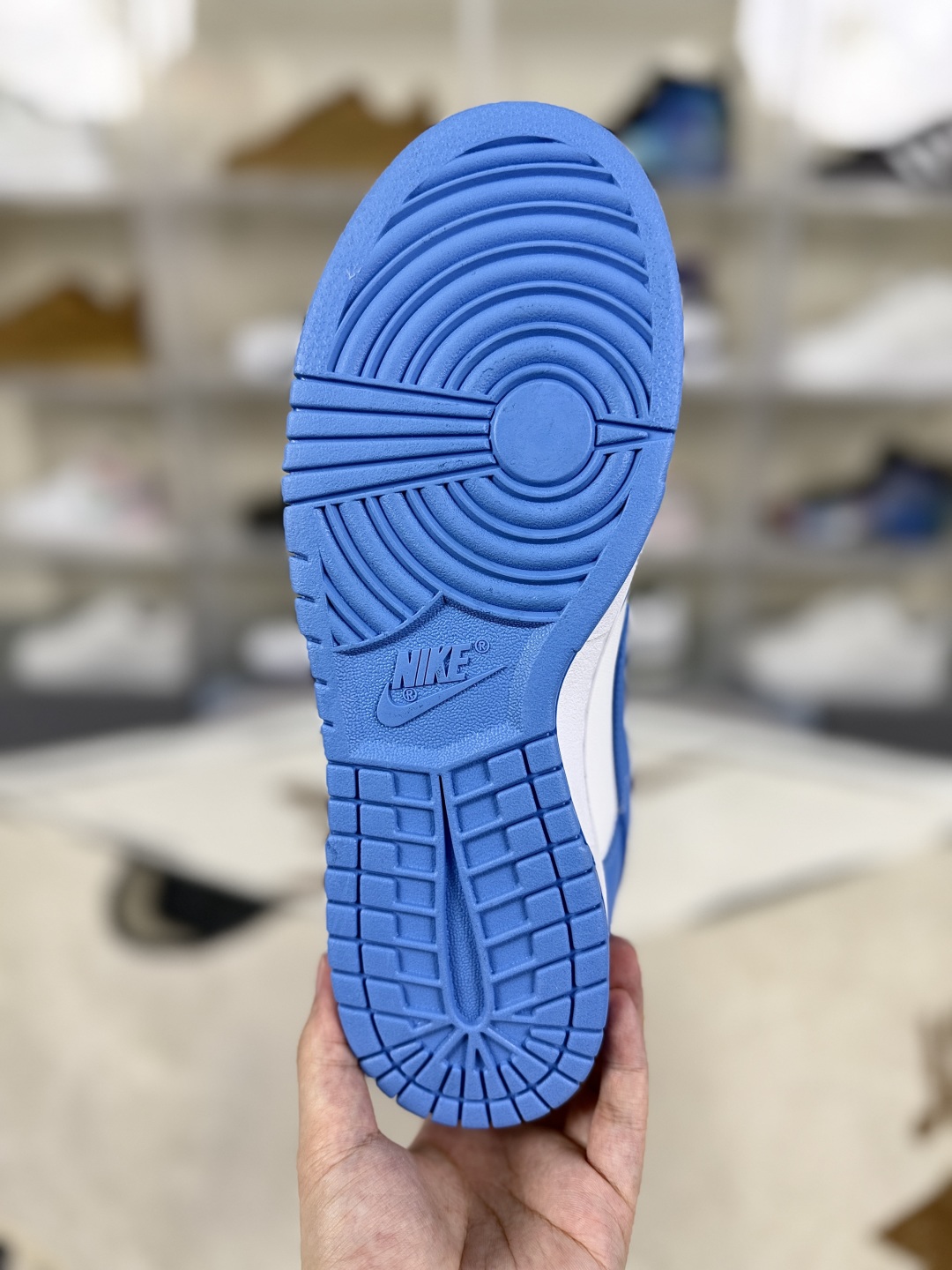 Nike Dunk Low "Coast" Basketball Shoes, Unisex Sneakers, Light Blue 7 cmp i1750704213101 1777 0 4