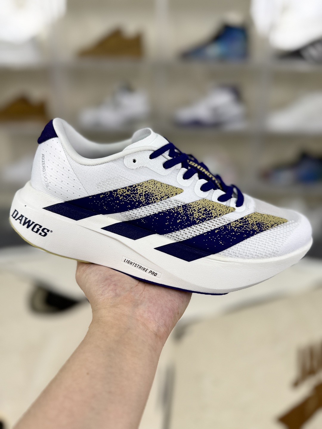 Adidas Adizero Evo SL Washington Running Shoes - Lightweight & Comfortable 1 cmp i1751306791483 408 0 0