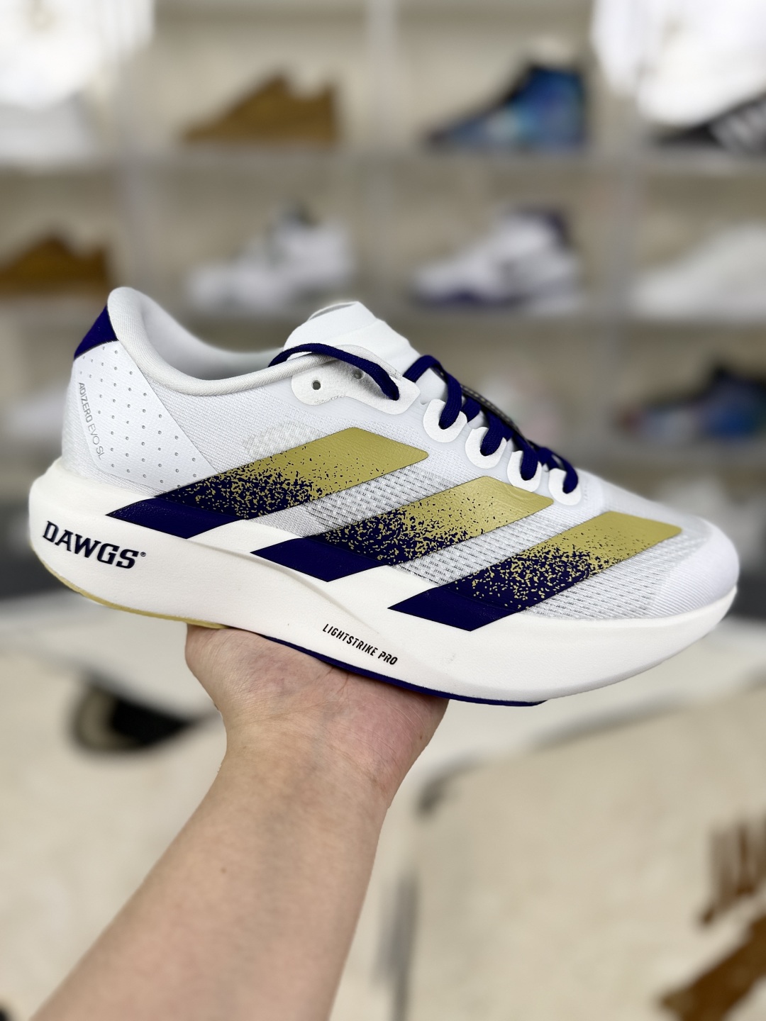 Adidas Adizero Evo SL Washington Running Shoes - Lightweight Comfort for Men 2 cmp i1752602220777 672 0 0