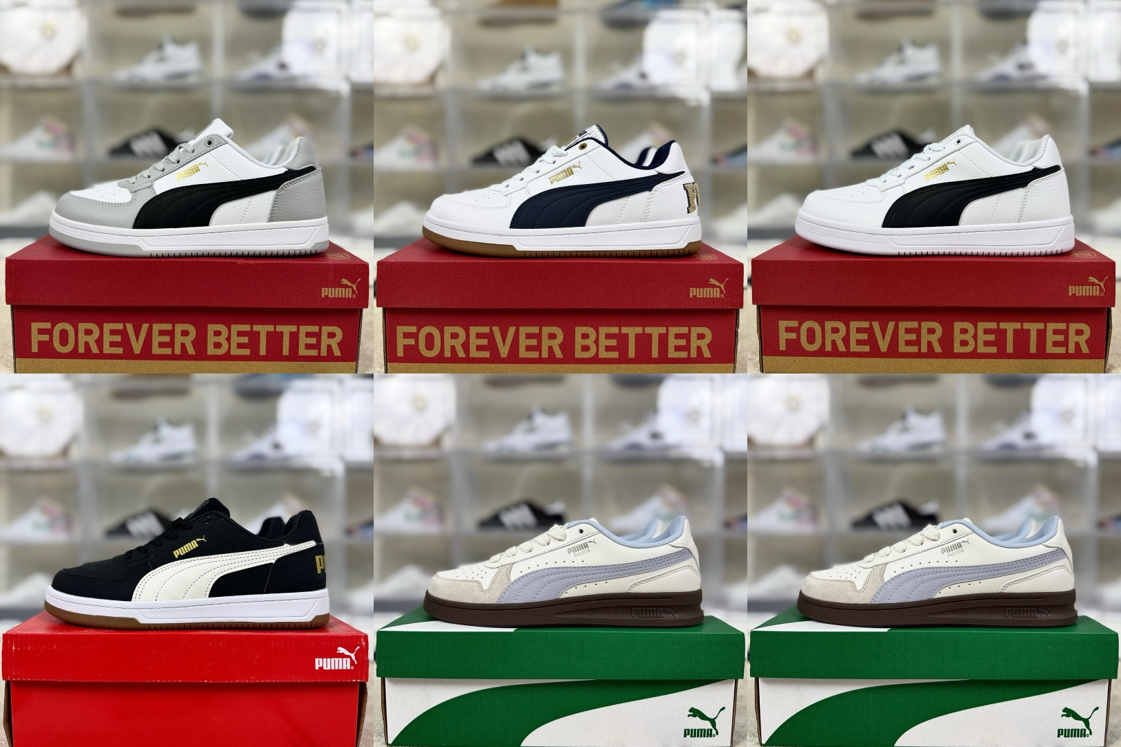 cmp i1755890896922 8389 0 1