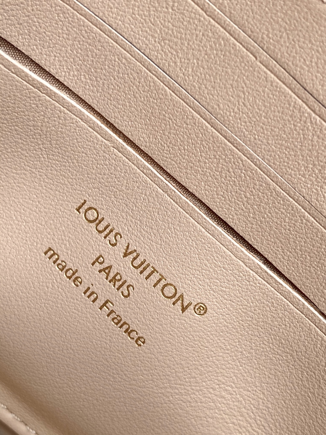 Louis Vuitton Wallet On Chain Bag - Stylish & Functional Accessory 10 cmp i1747599703780 3007 0 8