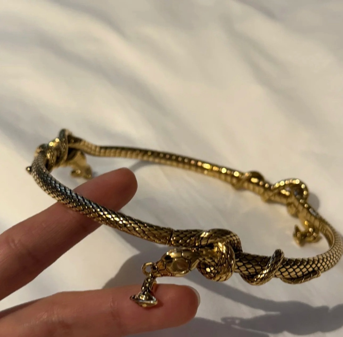 项圈𝐕𝐢𝐯𝐢𝐞𝐧𝐧𝐞 𝐖𝐞𝐬𝐭𝐰𝐨𝐨𝐝🪐vivienne westwood英国时装设计师，时装的朋克之母