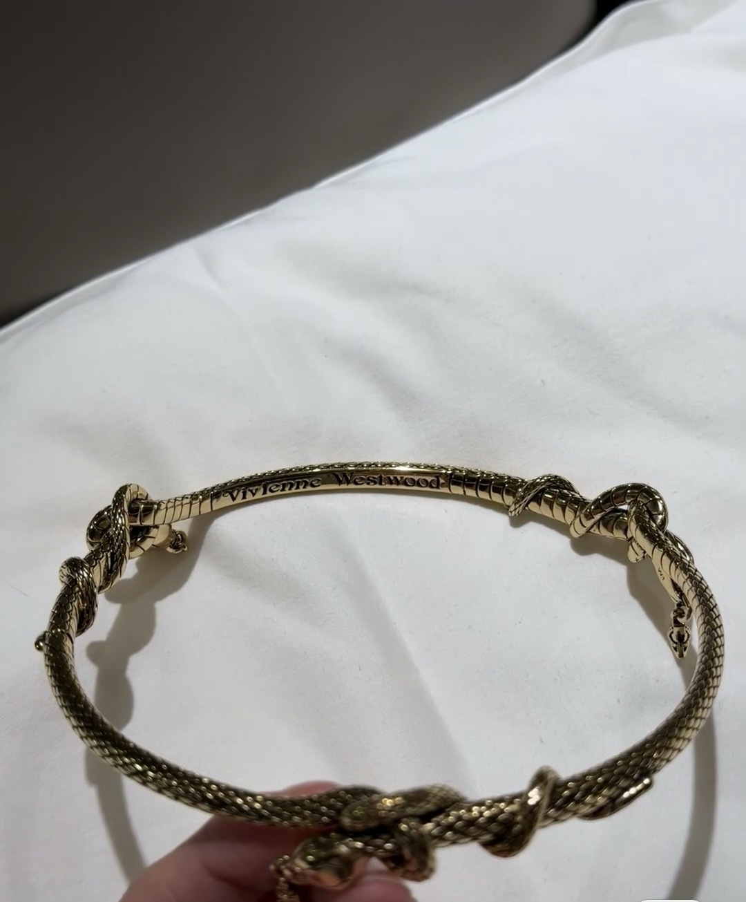 项圈𝐕𝐢𝐯𝐢𝐞𝐧𝐧𝐞 𝐖𝐞𝐬𝐭𝐰𝐨𝐨𝐝🪐vivienne westwood英国时装设计师，时装的朋克之母