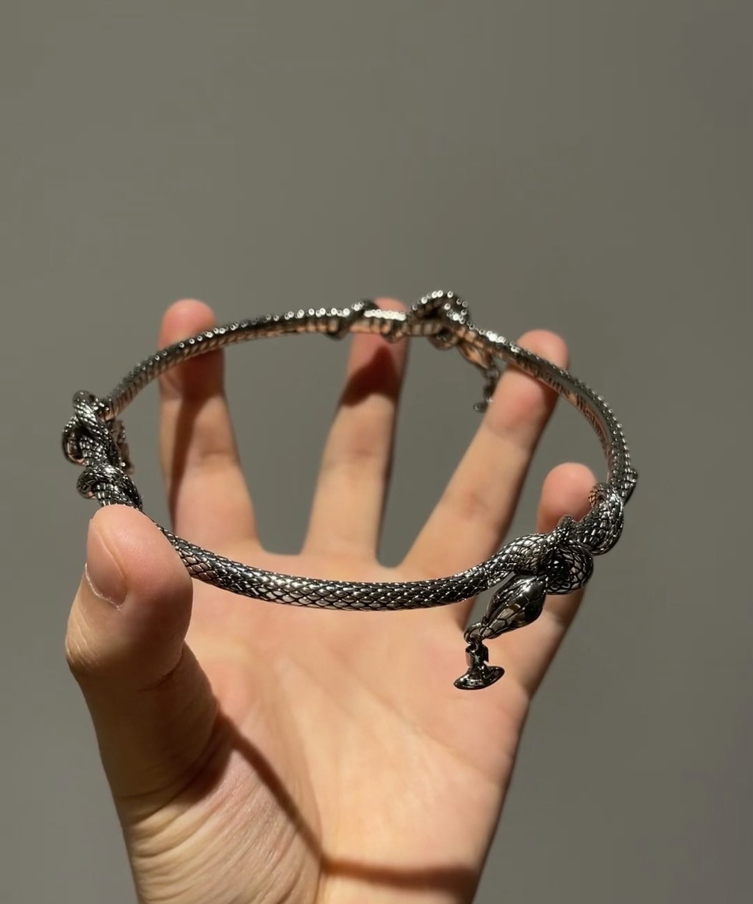 项圈𝐕𝐢𝐯𝐢𝐞𝐧𝐧𝐞 𝐖𝐞𝐬𝐭𝐰𝐨𝐨𝐝🪐vivienne westwood英国时装设计师，时装的朋克之母