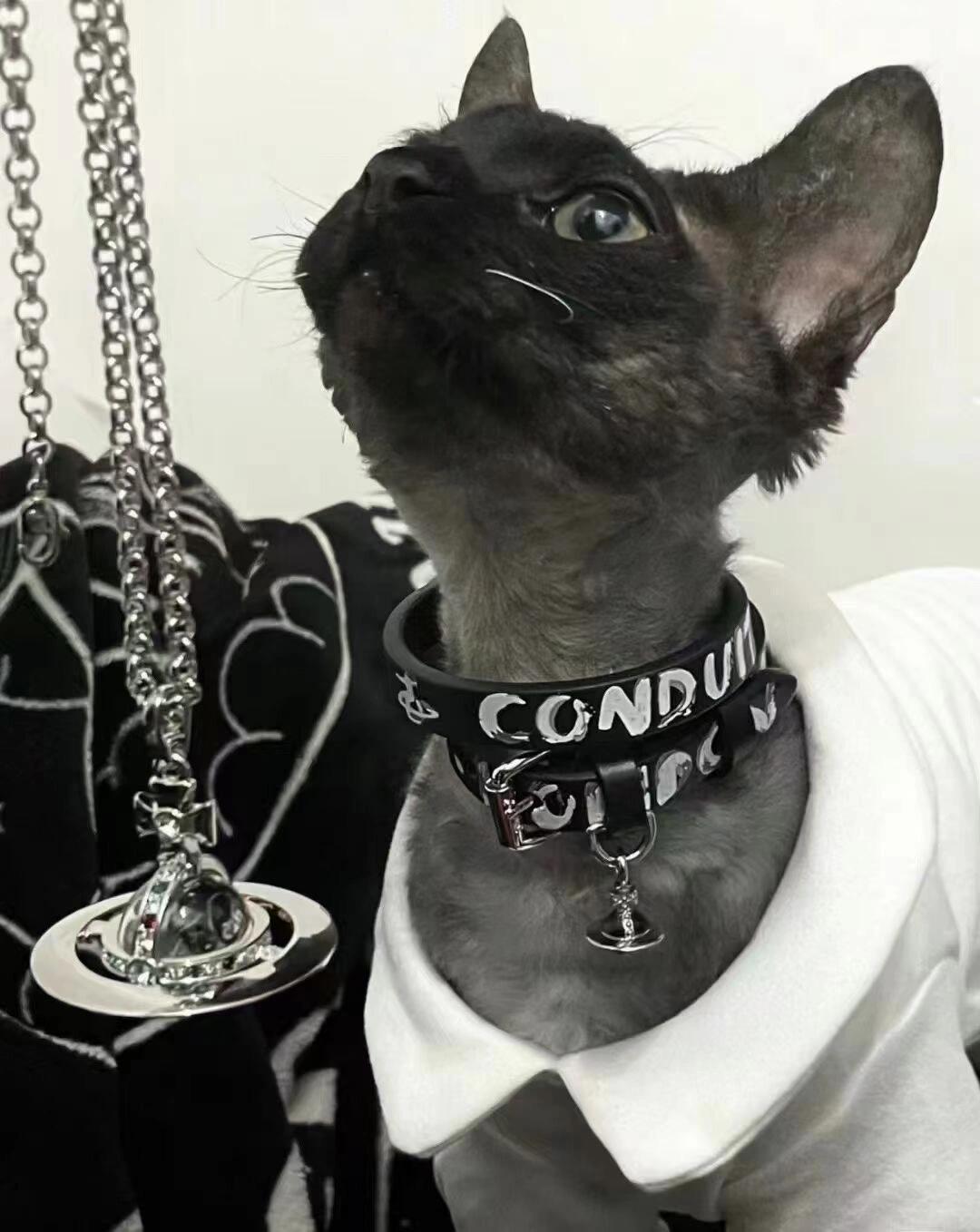 𝐕𝐢𝐯𝐢𝐞𝐧𝐧𝐞 𝐖𝐞𝐬𝐭𝐰𝐨𝐨𝐝🪐vivienne westwood英国时装设计师，时装的朋克之母！时