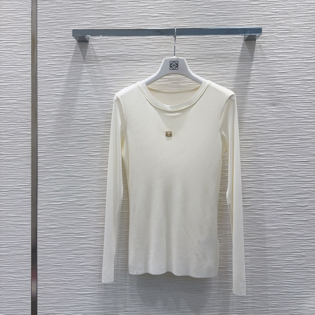 🛍️ Loe w*e 👑2025FW新款网纱打底衫 高级大气 柔软弹力很舒服 满满的穿搭高级感 半透视 