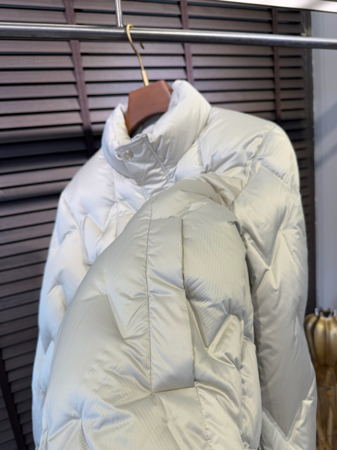 Dio&迪🦞FW2025新款立领羽绒服。柜子最新款，一件难求。采用定制防风防雨面料，软糯亲肤，抗皱不粘灰