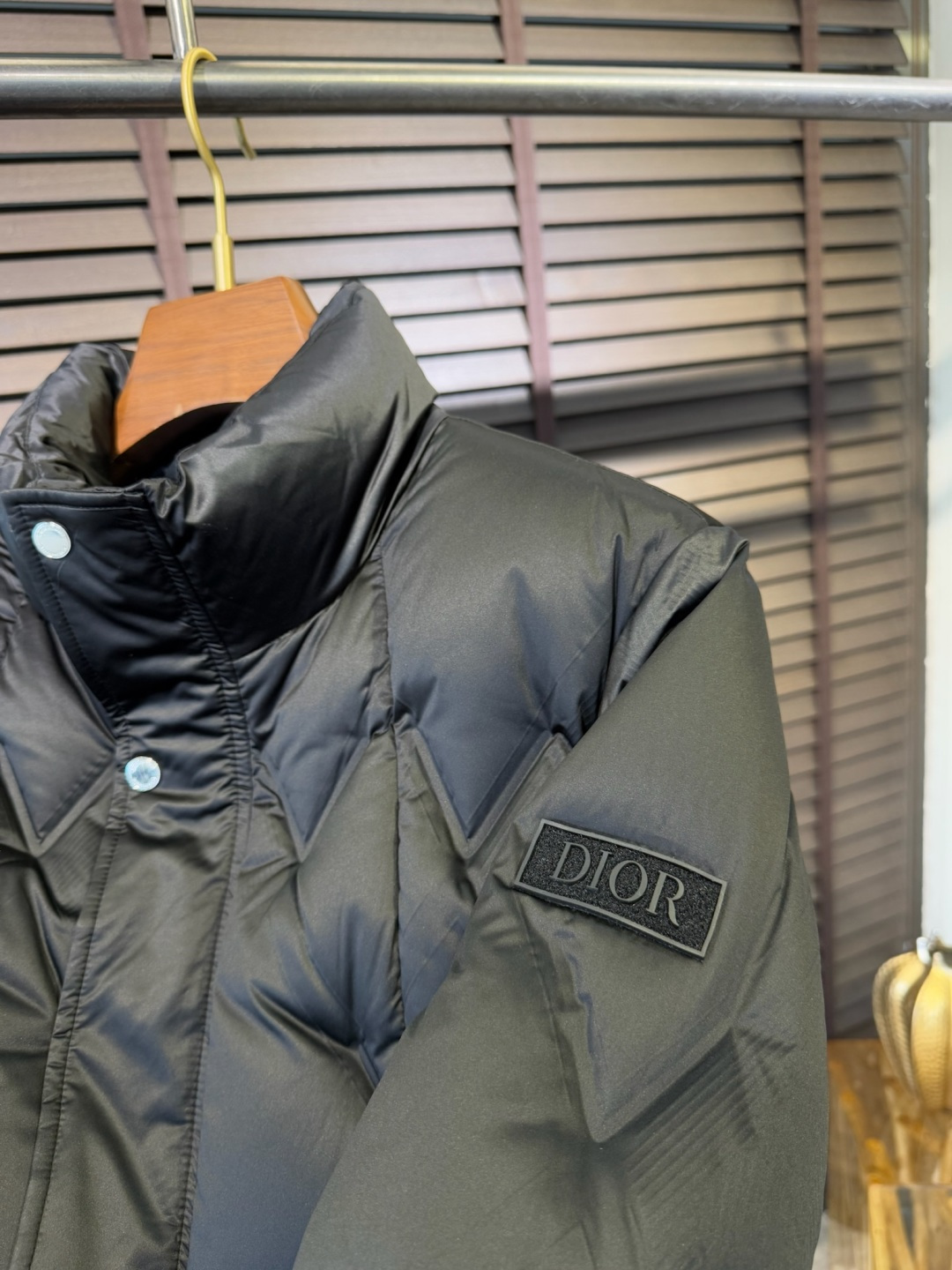 Dio&迪🦞FW2025新款立领羽绒服。柜子最新款，一件难求。采用定制防风防雨面料，软糯亲肤，抗皱不粘灰