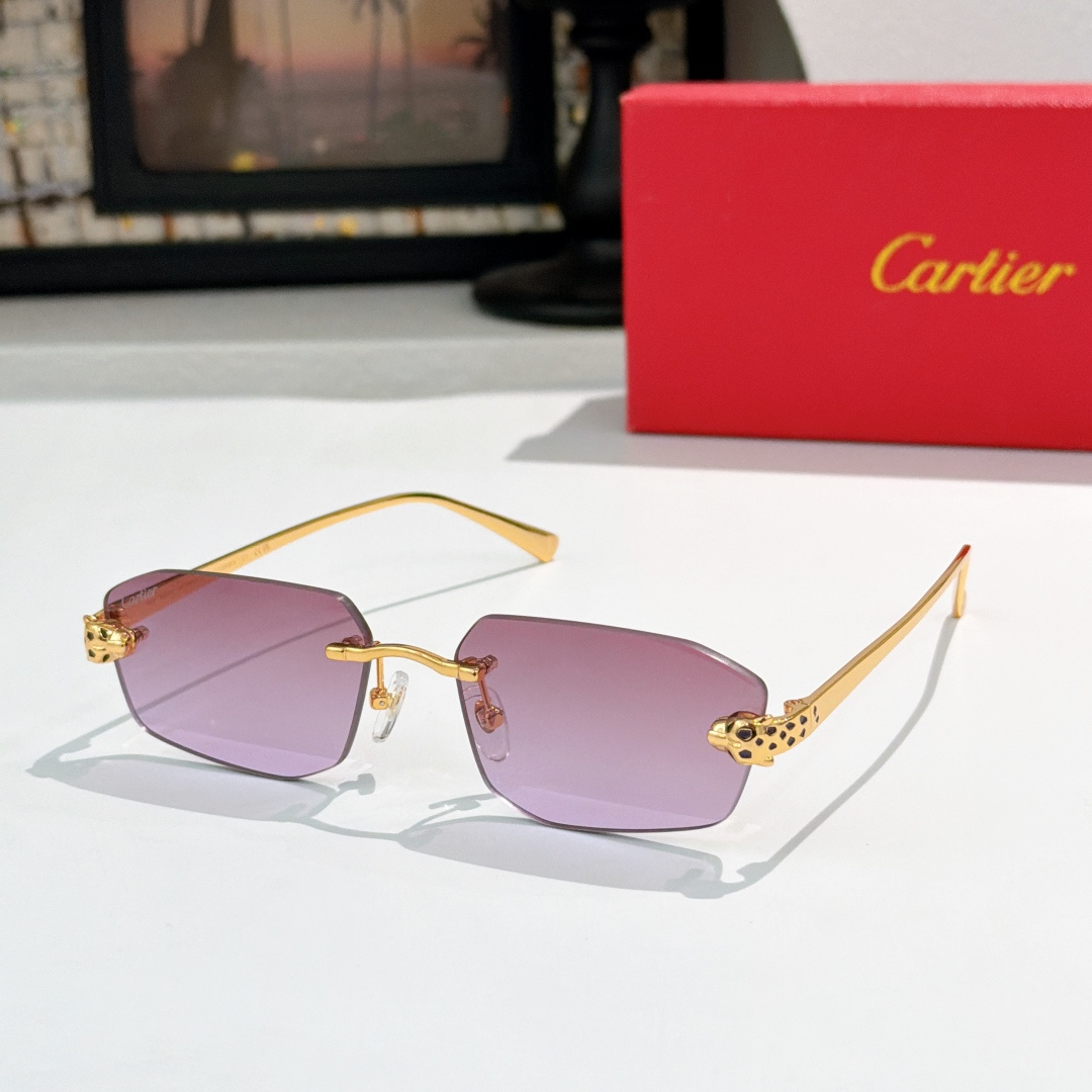 Cartie* MODELO: CT0930S TALLA: 56口17-143 🉐155