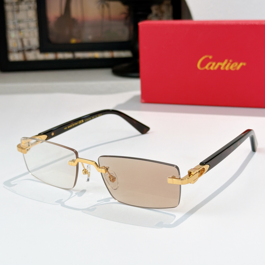 Cartie*MODEL：CT0579SSIZE:57-19-145 🔝🔝变色➕20