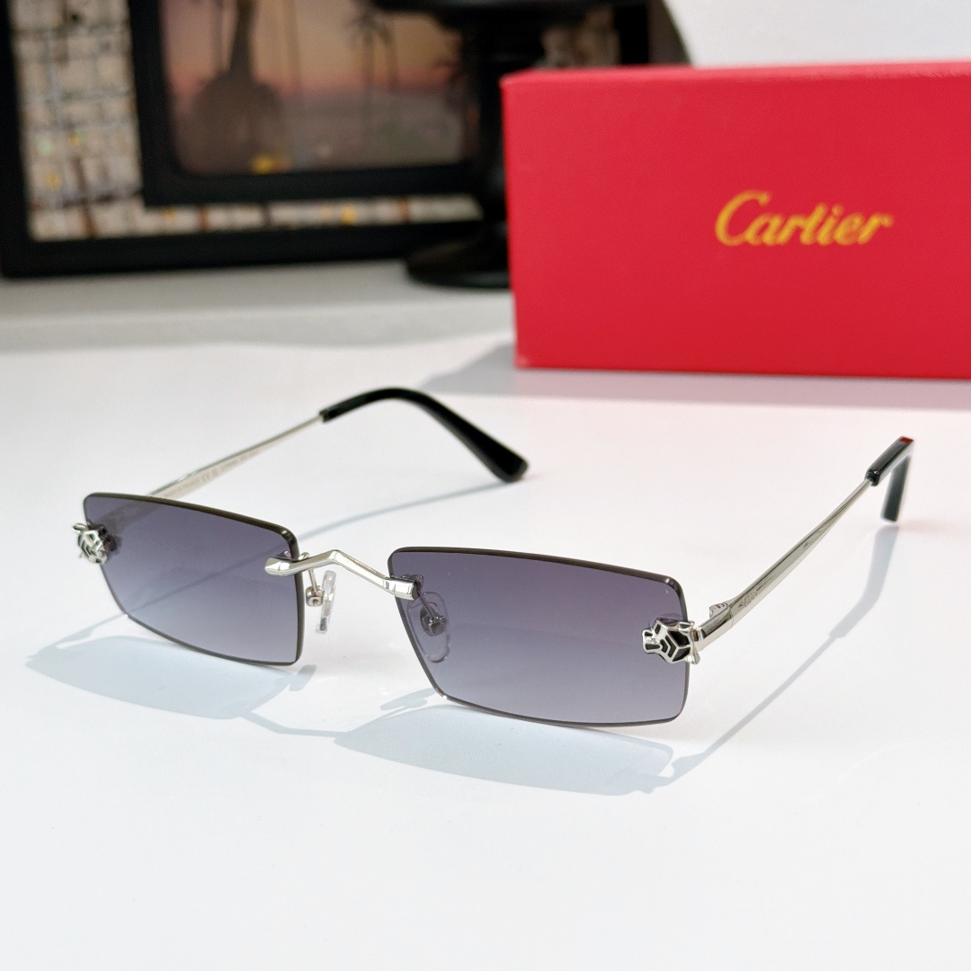 Cartie*MODEL：CT0598SSIZE:55-20-145 🔝🔝变色➕20