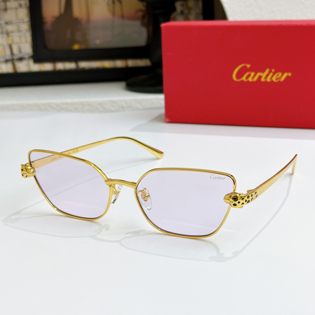 Cartie*MODEL：CT0495S  SIZE: 60口17-140🔝🔝