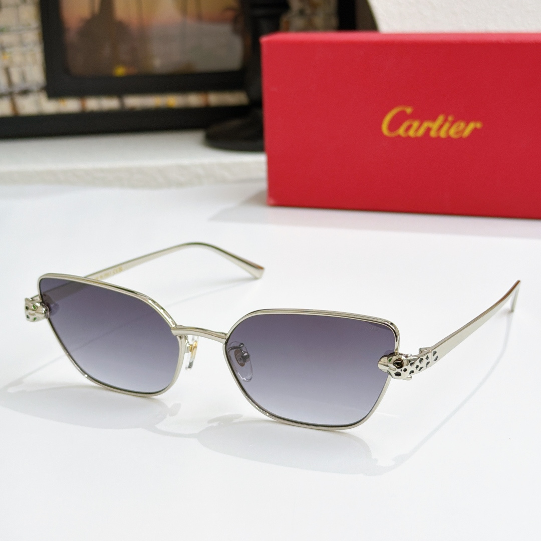 Cartie*MODEL：CT0495S  SIZE: 60口17-140🔝🔝