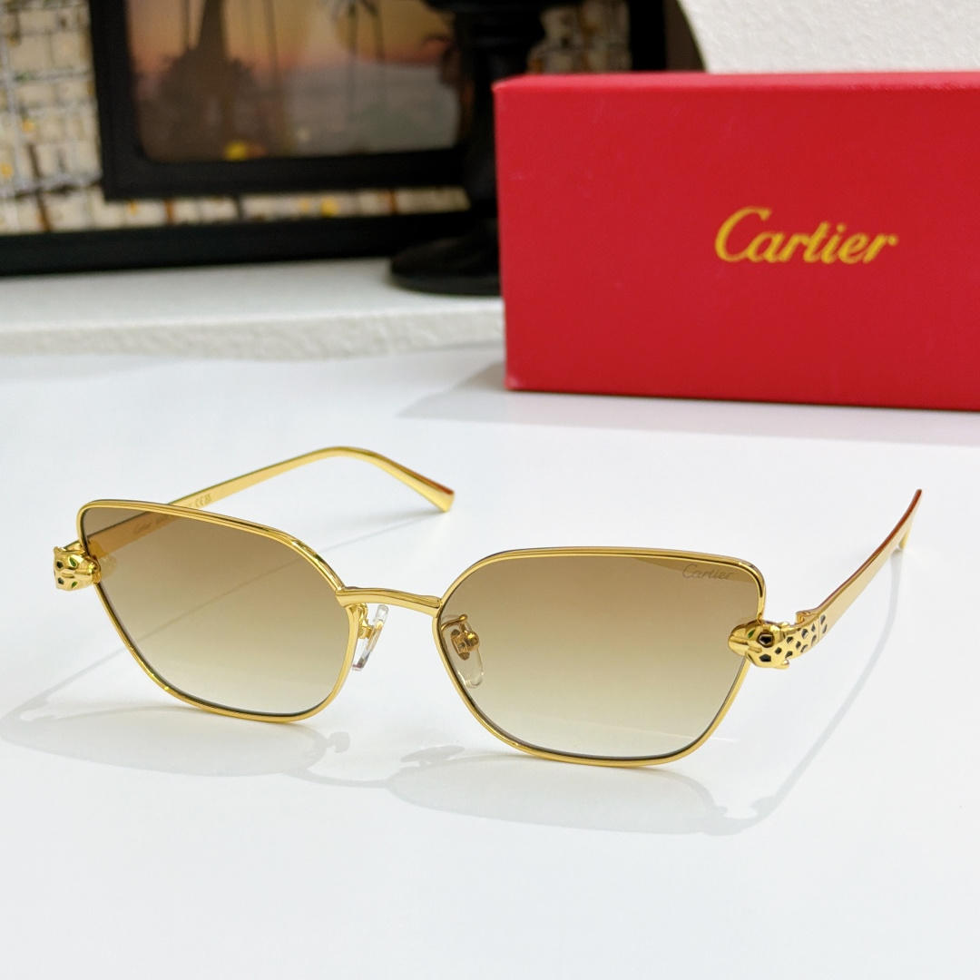 Cartie*MODEL：CT0495S  SIZE: 60口17-140🔝🔝