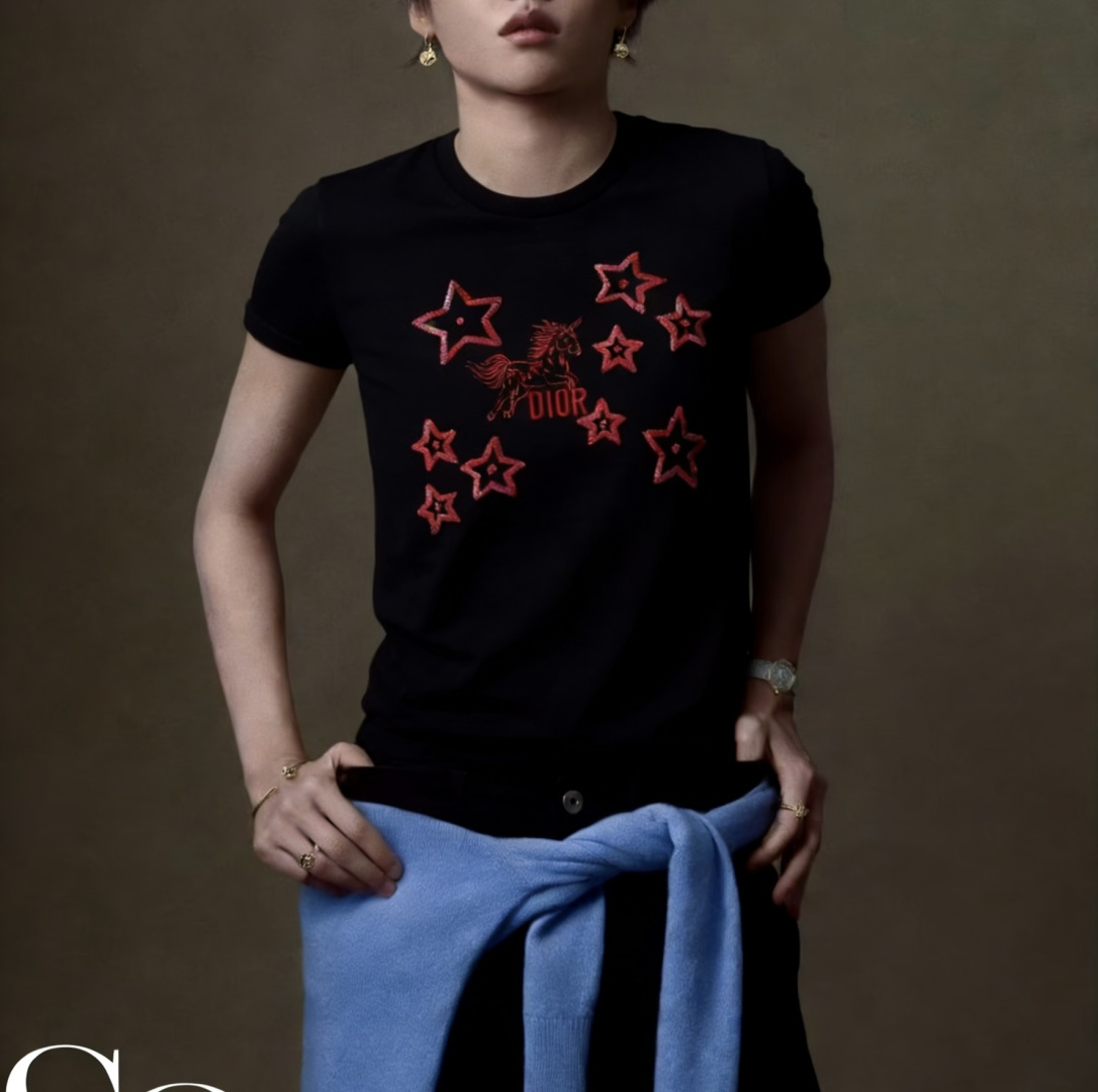#DIO♡²⁶春夏新款 独角兽🦄️刺绣🪡重工星星💫珠片钉珠短袖T恤 高品质定制 现货首发size：S/M