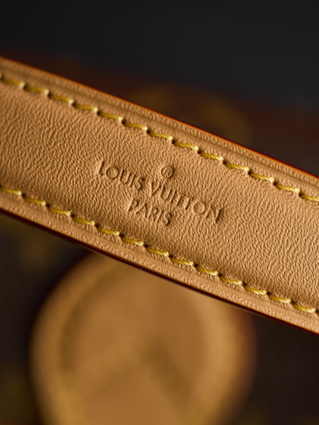 LOUIS VUITTON Nano Diane Bag M83298, Premium Leather, Gold Hardware 2 cmp i1748590258519 2437 0 0