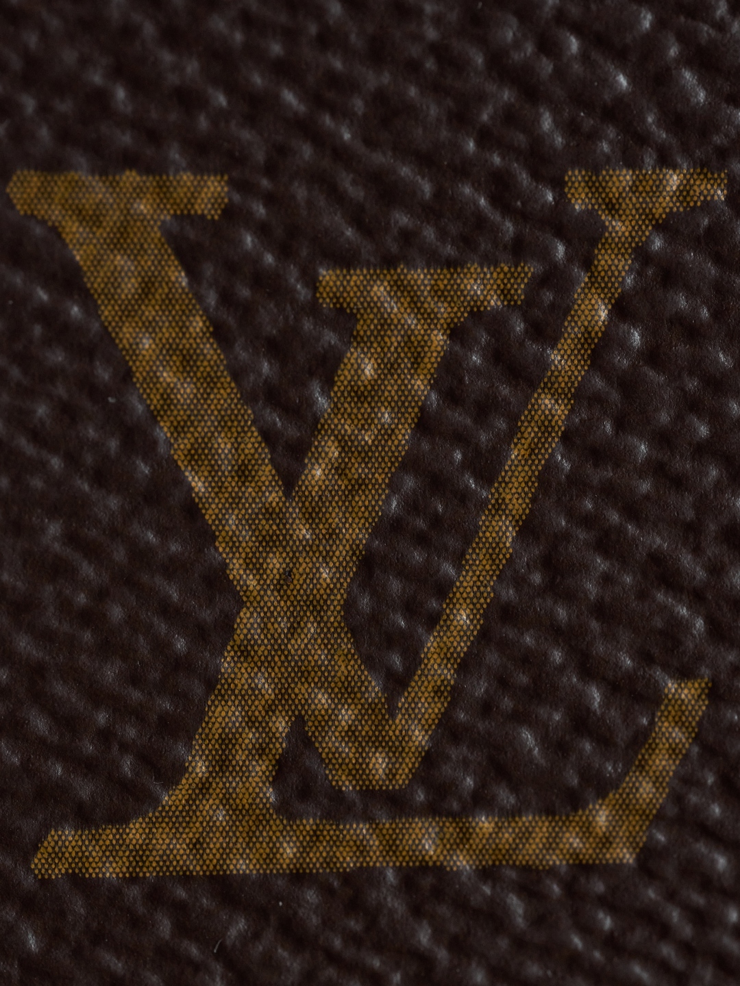 Louis Vuitton Wallet on Chain Ivy Bag Monogram Coated Canvas Shoulder Bag 10 cmp i1748615760413 2179 0 8